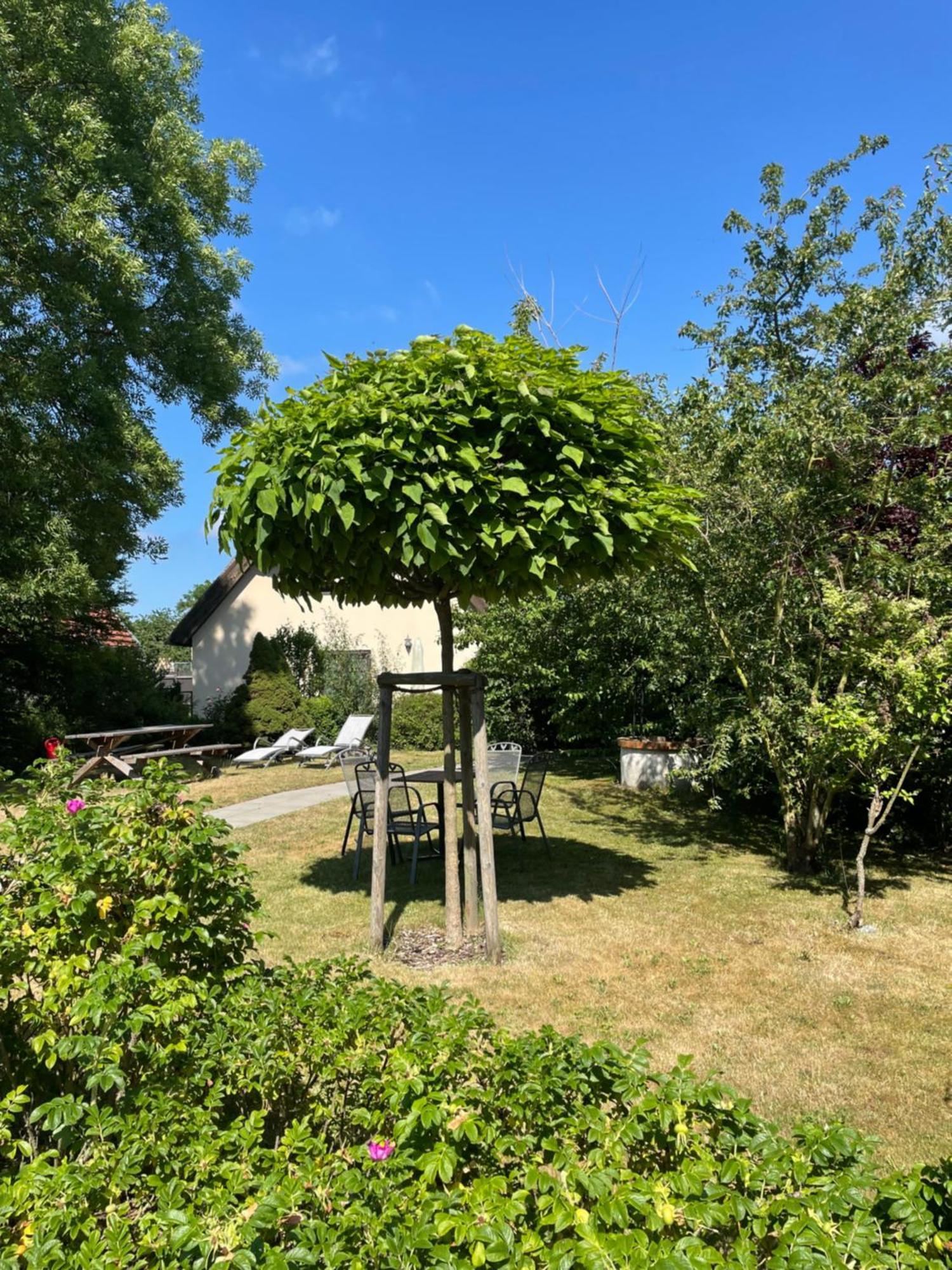 Fischerhus In Krummin - Nur Fuer Urlauber Bagian luar foto