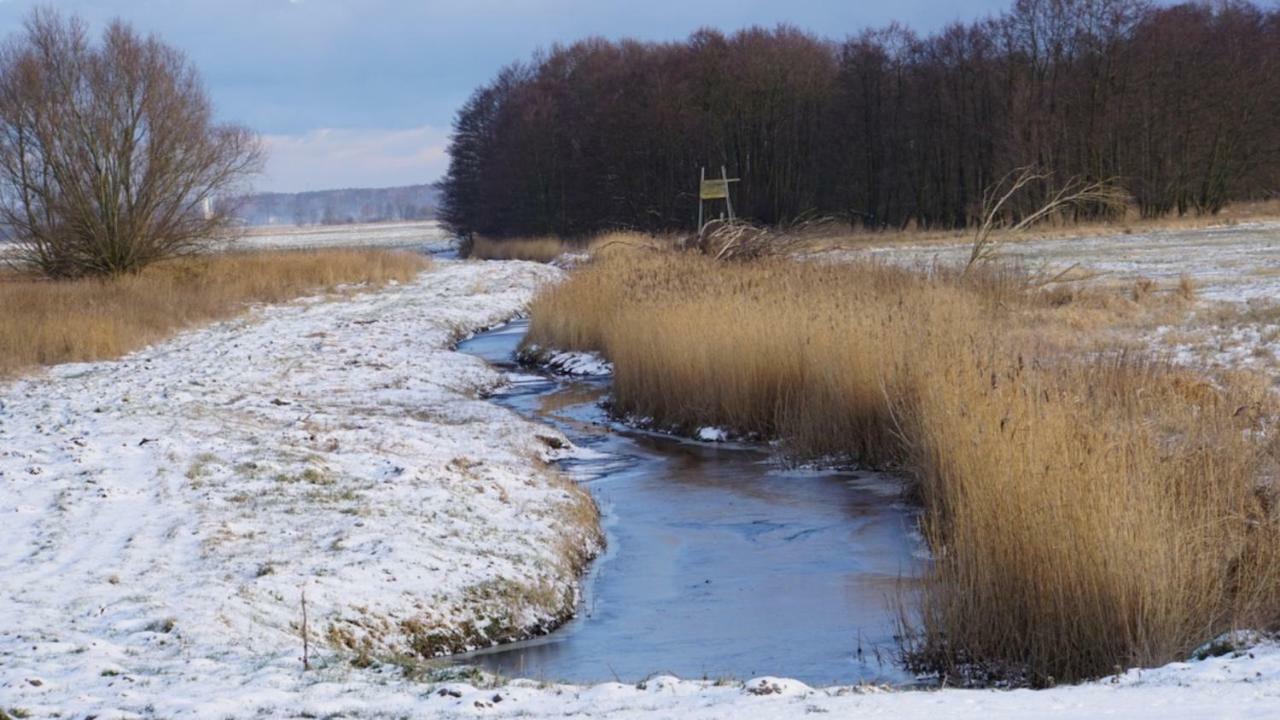 Fischerhus In Krummin - Nur Fuer Urlauber Bagian luar foto